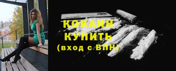 винт Лагань