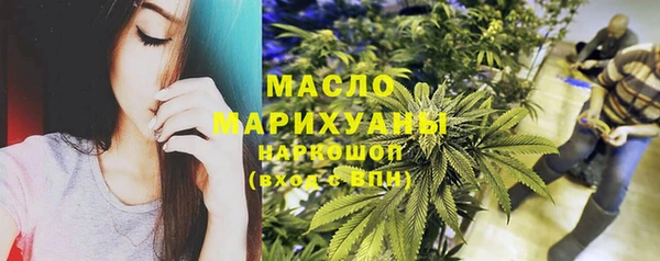 винт Лагань