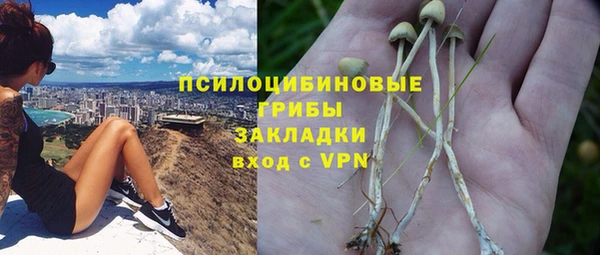 винт Лагань