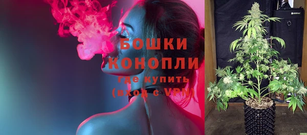 винт Лагань