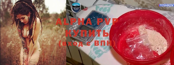 винт Лагань