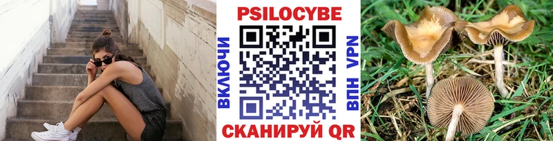 Галлюциногенные грибы Cubensis  Тамбов 